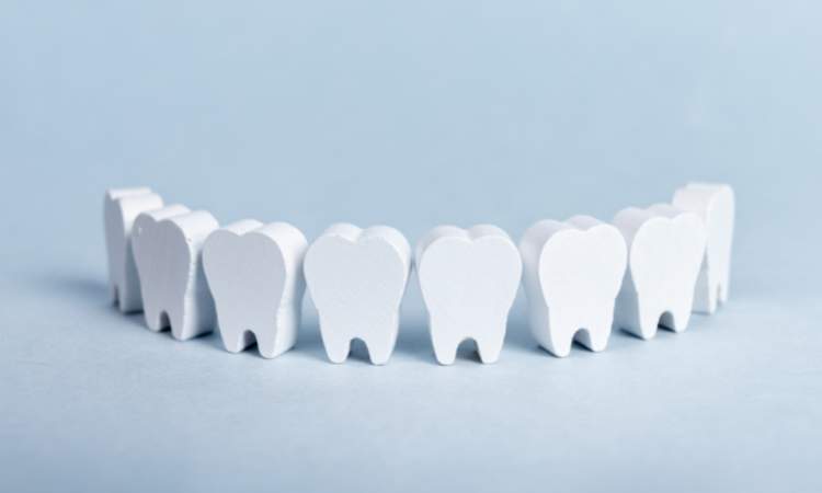 Tingkatkan Kesehatan Gigi dan Mulut dengan Perawatan Rutin di Dokter Gigi Spesialis